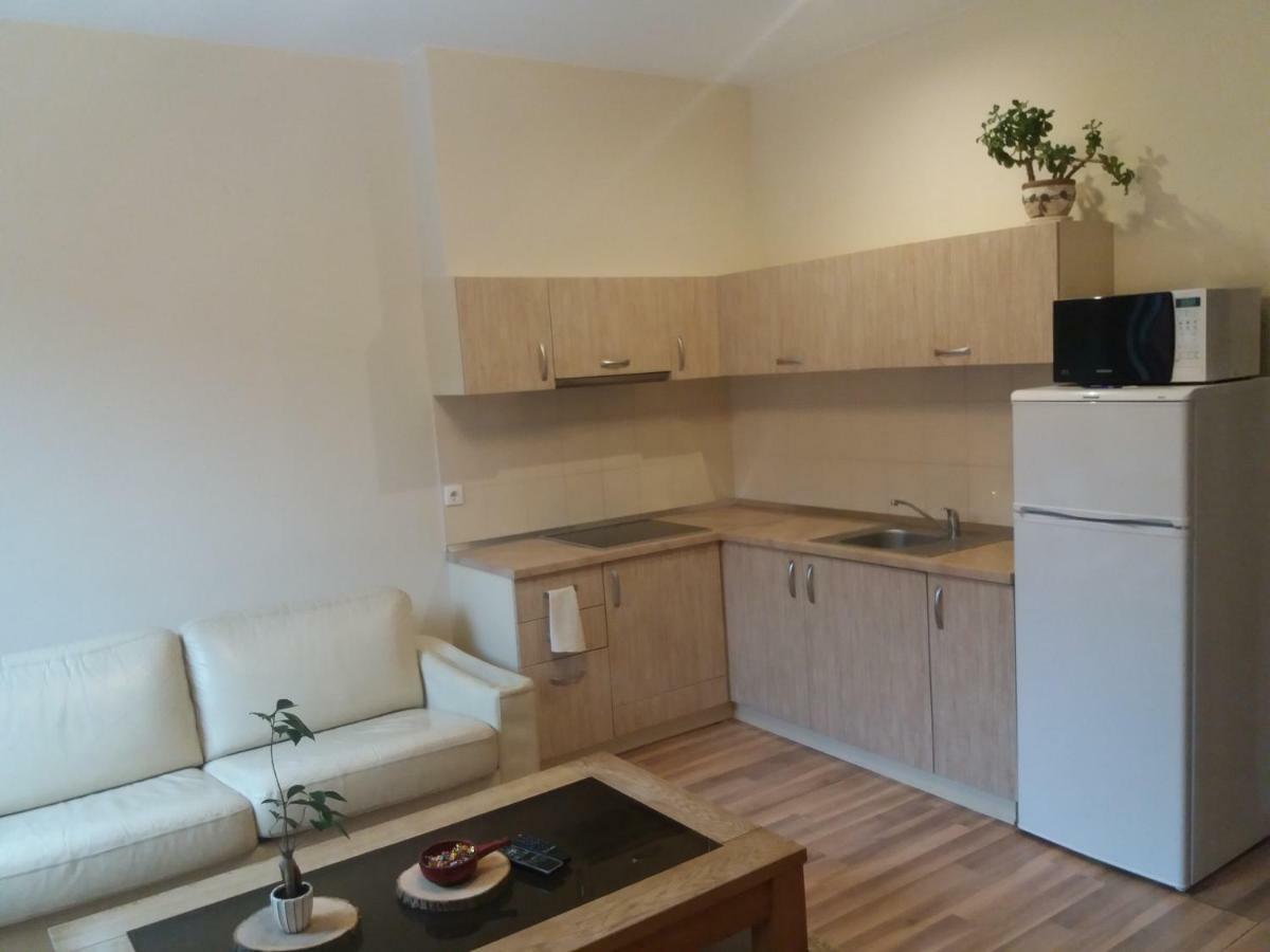 Simkaus Str. Apartment Klaipėda Esterno foto